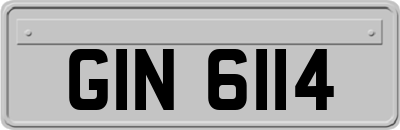GIN6114