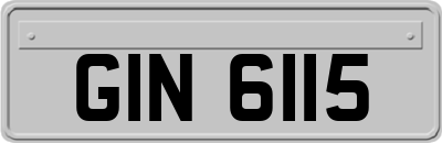 GIN6115