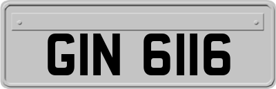 GIN6116