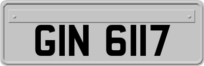 GIN6117