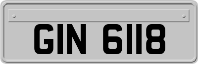GIN6118