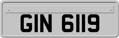 GIN6119