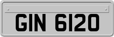 GIN6120