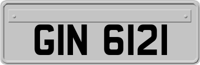 GIN6121
