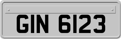 GIN6123