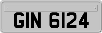 GIN6124