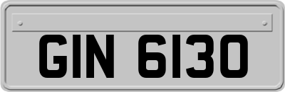GIN6130