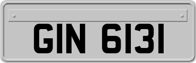 GIN6131