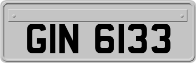 GIN6133