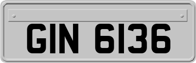 GIN6136