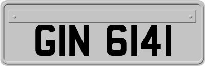 GIN6141