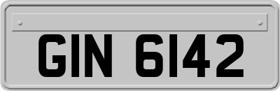 GIN6142