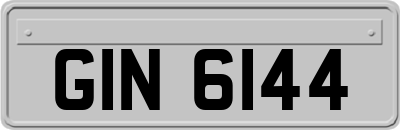 GIN6144