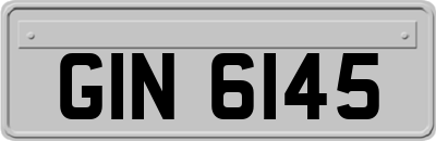 GIN6145