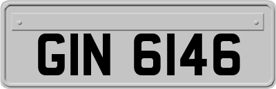 GIN6146