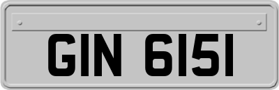 GIN6151