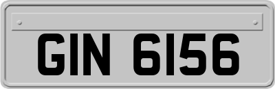 GIN6156