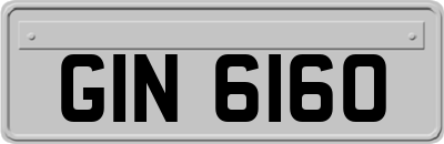 GIN6160
