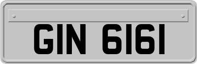 GIN6161