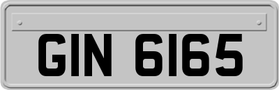 GIN6165