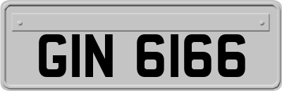 GIN6166