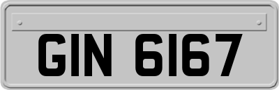 GIN6167