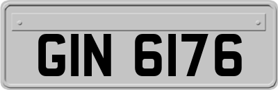 GIN6176