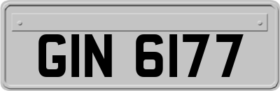 GIN6177