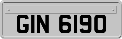 GIN6190