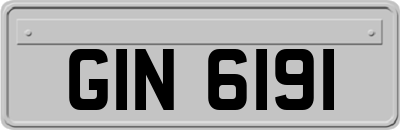 GIN6191