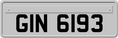 GIN6193