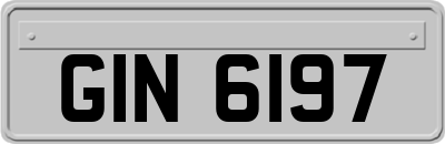 GIN6197