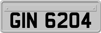 GIN6204
