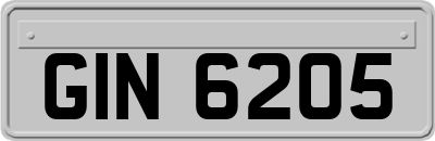 GIN6205