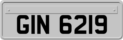GIN6219