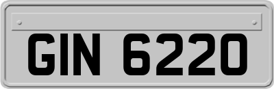 GIN6220