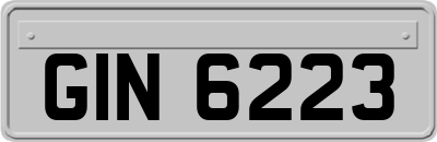 GIN6223