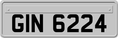 GIN6224