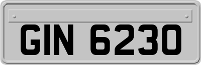 GIN6230