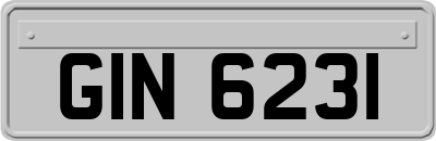 GIN6231