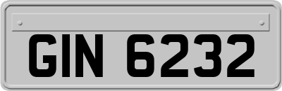 GIN6232