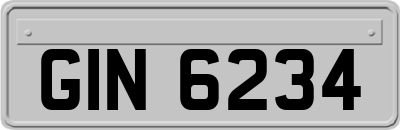 GIN6234