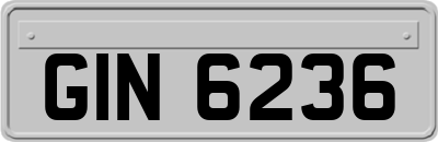 GIN6236