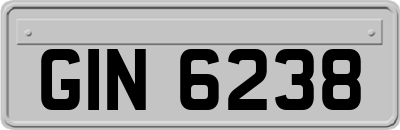 GIN6238