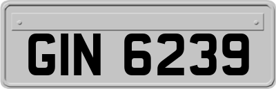 GIN6239