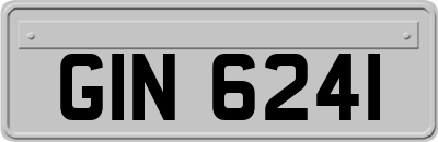 GIN6241