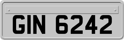 GIN6242