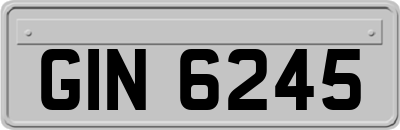 GIN6245