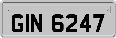 GIN6247