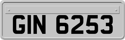 GIN6253